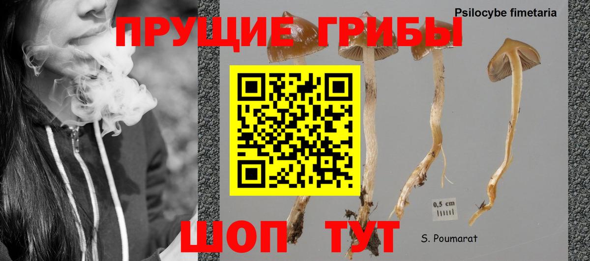 Псилоцибиновые грибы ЛСД Чита