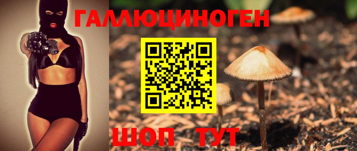 Чита  Псилоцибиновые грибы MAGIC MUSHROOMS  Вход с VPN  Галлюциногенные грибы Psilocybe 